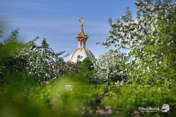 Картинки для отдыха глаз