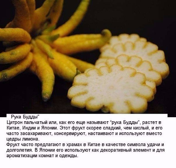 Подборка фото