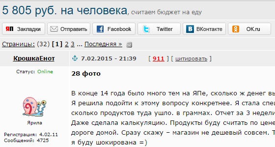 «Мой ребенок „стоит“ 3200 рублей в месяц»