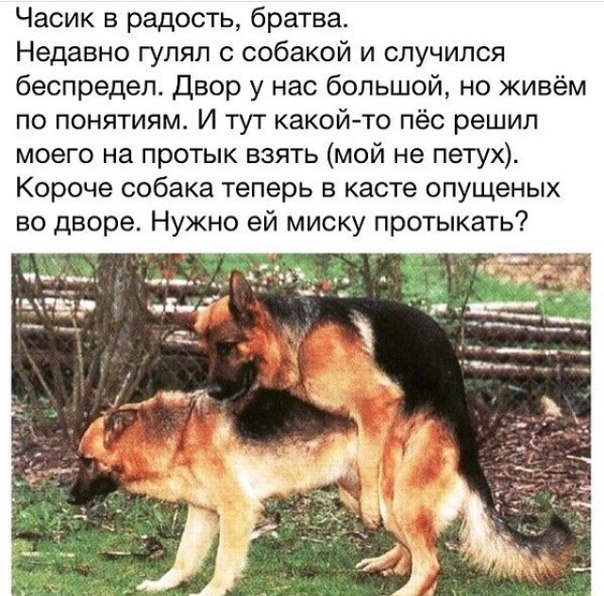 Отупляющие приколы
