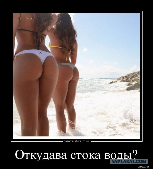 Картинки и гифки, всё стандартно