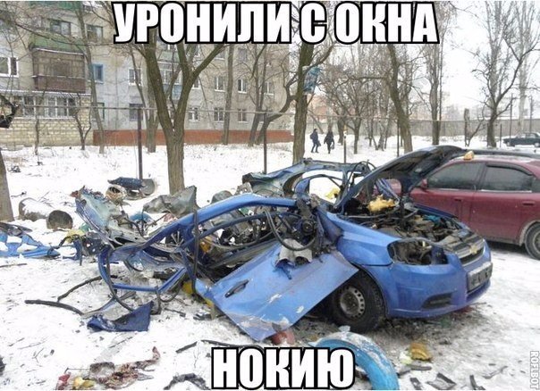 Подборка безудержного веселья