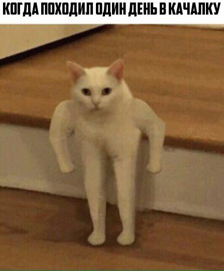 Юмор не для всех