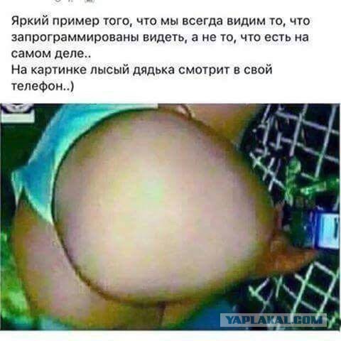 Смешные комментарии из социальных сетей 14.04.2017