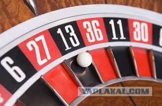 Сбил насмерть, скрутил номера и уехал. 1 км. до СПб