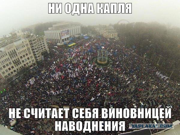 7 интересных фактов о фильме «Собачье сердце»