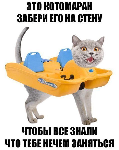 Немного веселых картинок для пятничного настроения