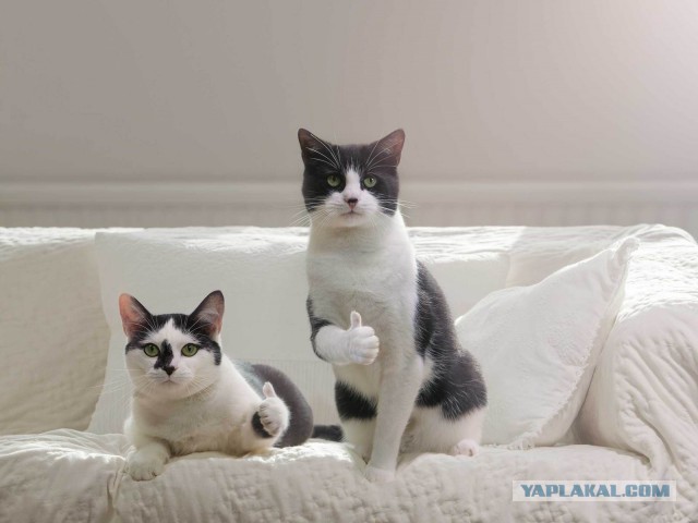 ЯПлакал woman style. 8 марта посвящается