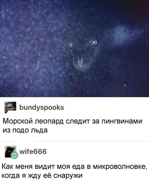 Не очень адекватный юмор