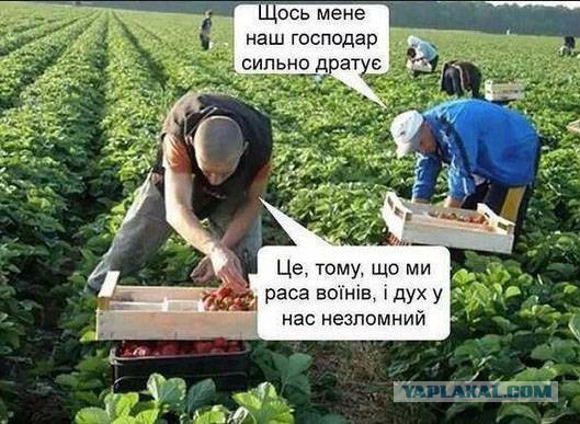 Как на Украине забирают запрещенную символику