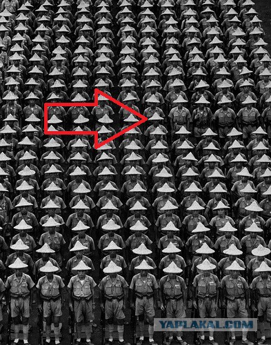 Подборка исторических фотографий