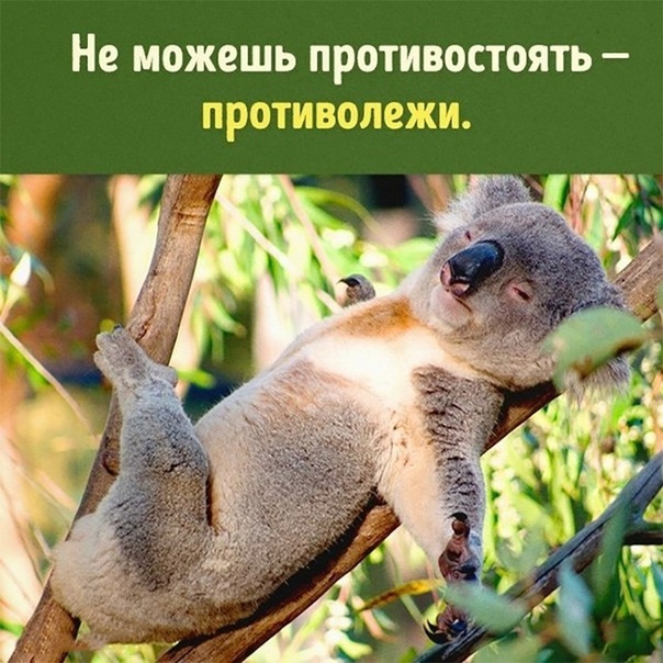 Немного картинок в эту субботу