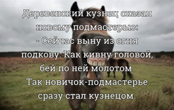 Специфический юмор