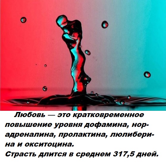 Подборка бесполезных фактов