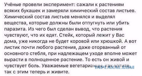 Ты веган? Ну так на лбу себе напиши!