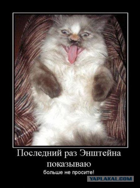 Альберт Эйнштейн