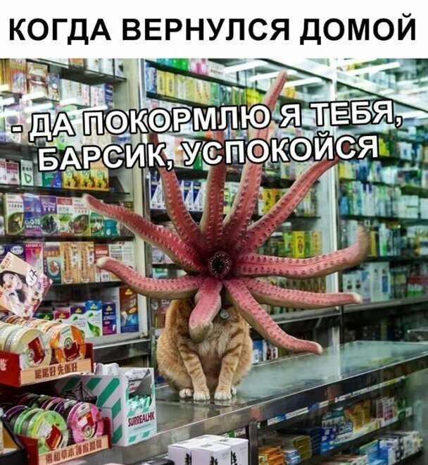 Картинки разные и не очень