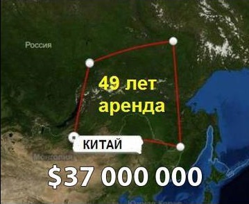 Сибирь станет пустыней. Вырубка леса в Сибири.