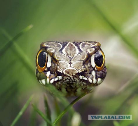 Женщины стали смелее и напористей