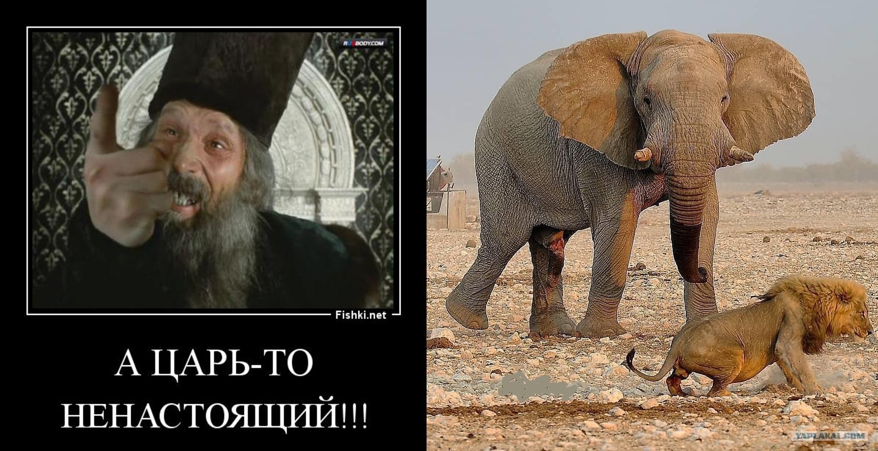А царь то ненастоящий