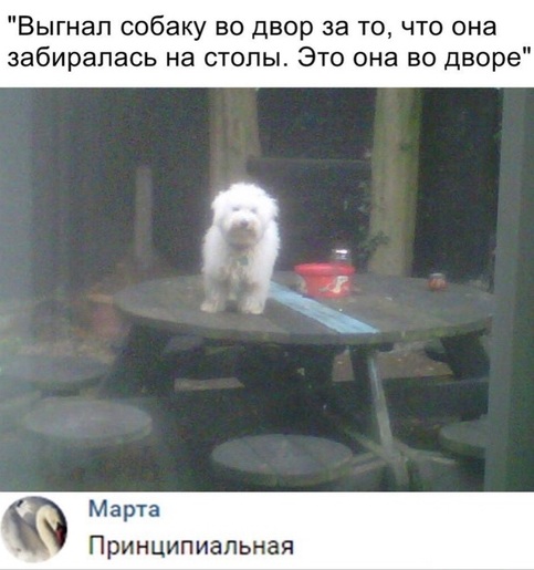 Чуток картинок. 08.10.19