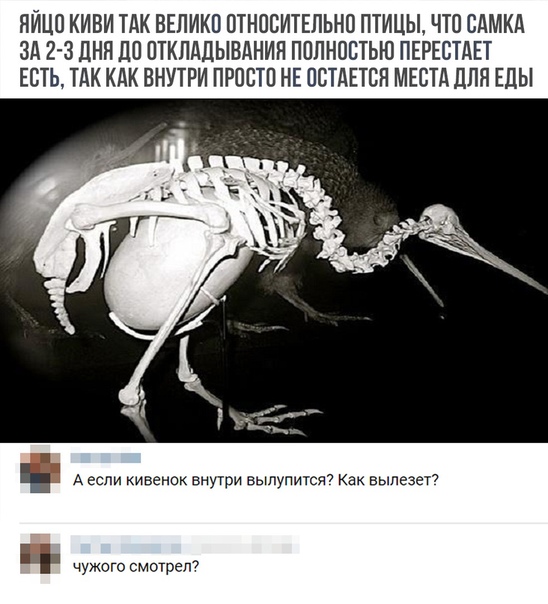 Немного картинок с надписями и без - 30