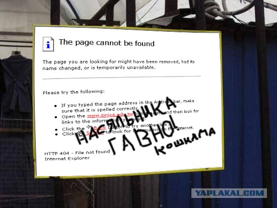 Бабы, внимание!