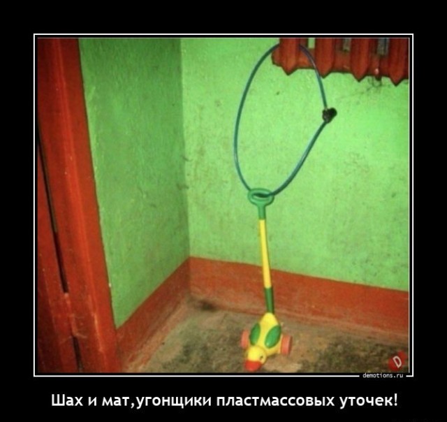 Картинки всякие