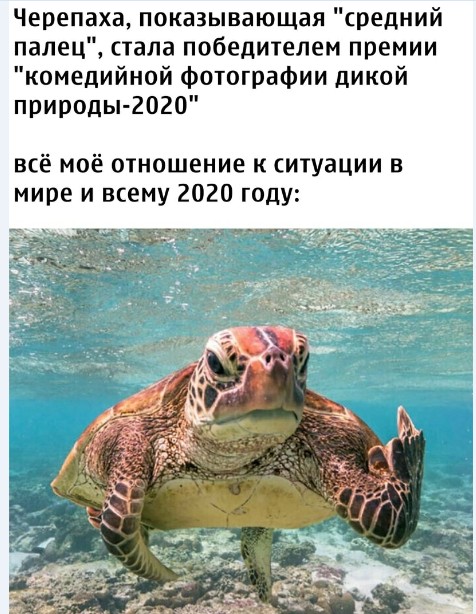 Картинки и мемы для настроения 014
