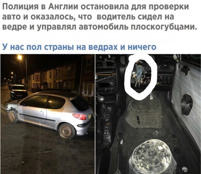 Картинок вам на утро