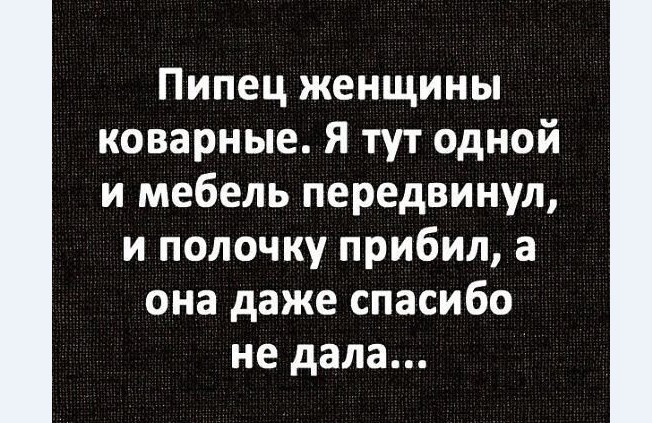 15193053.jpg