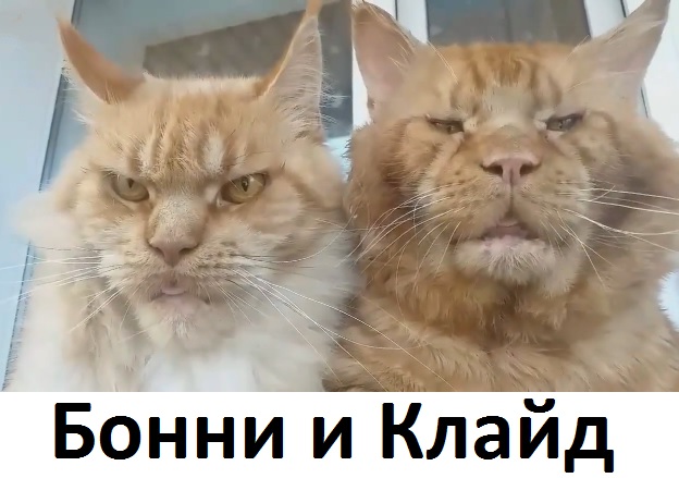 Картинок старых, разных пост