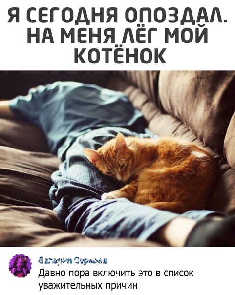 Картинки и мемы для настроения