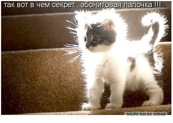 Простые опыты и эксперименты