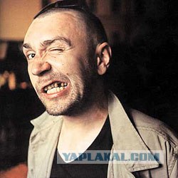 А пушистые шмели, Это хит.