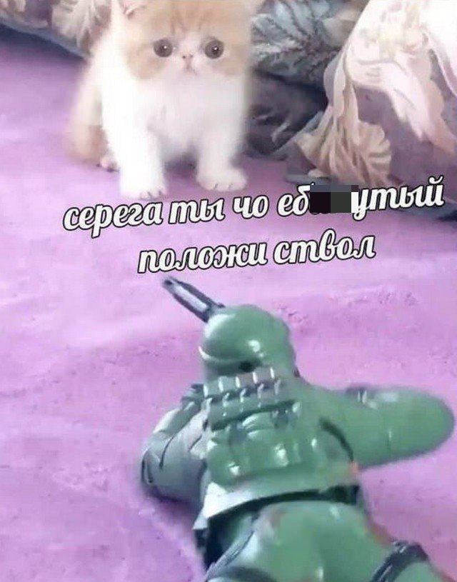 Алкопост выходного дня