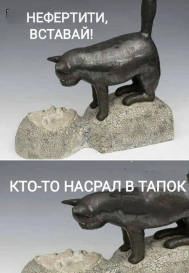 Так себе картинки 19.08.21