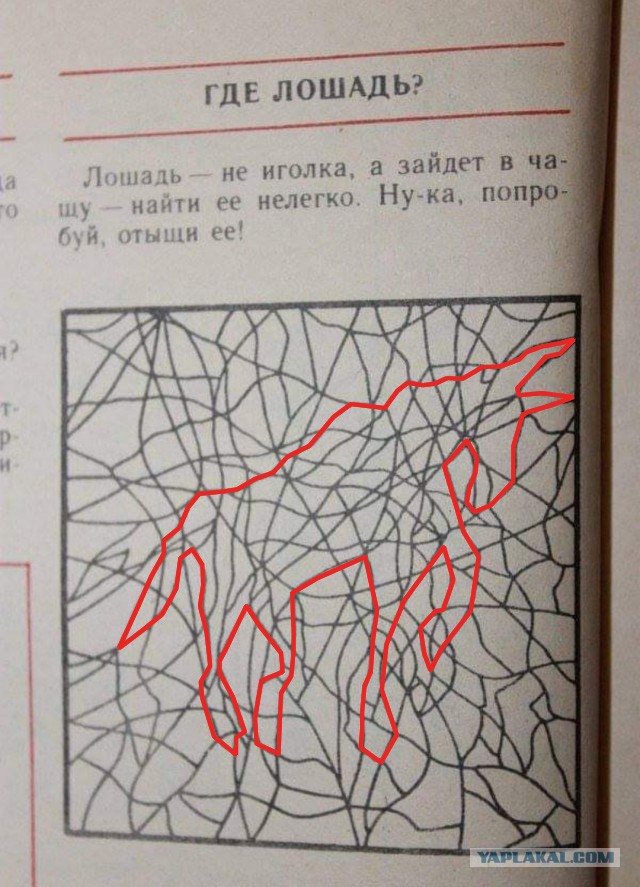 Бредзона 06.09.21