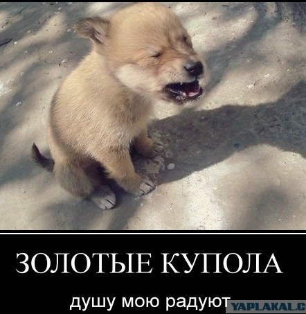 Я бывший заключённый