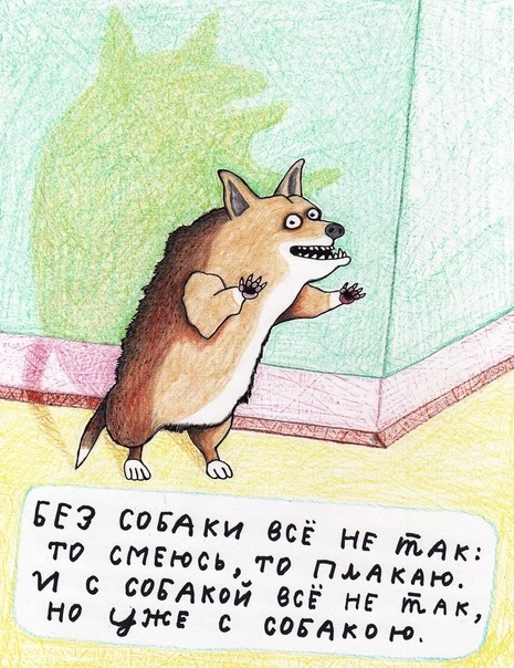 Просто мой пёс, которого я потерял
