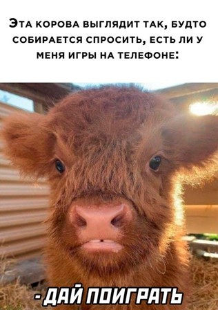 Картинки и мемы из Сети 24.07.22