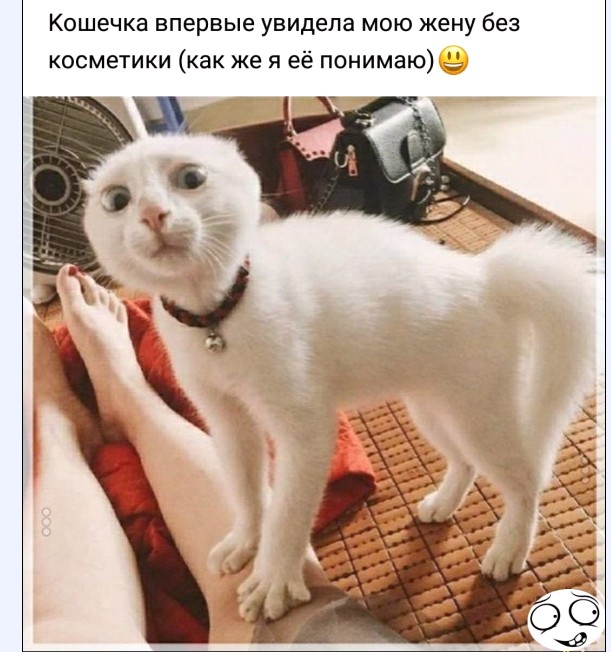 Картинки и мемы для настроения. Выходные рядышком...
