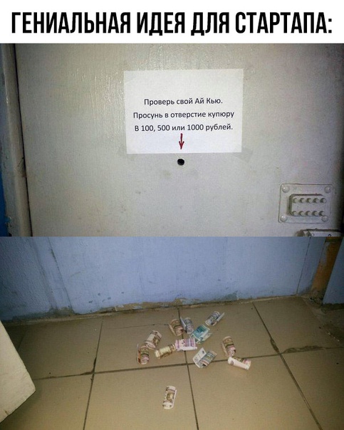 Сотрудники фирмы не могли понять, откуда их кот таскает наличку