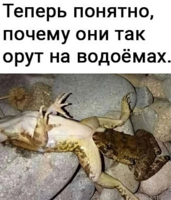 Картинки и мемы, всем хороших выходных