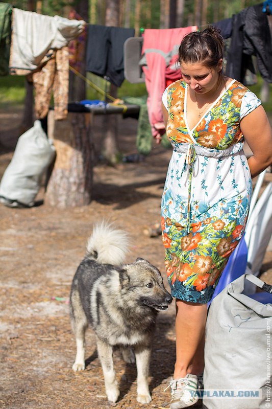 Водный поход по Карелии
