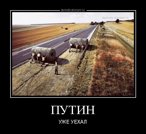 Путин и Шойгу посетили мобилизованных на полигоне в Рязанской области