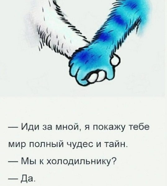 Пятничная подборка слегка "боянистых" картинок