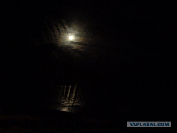 AFRICA - (Эфиопия,Кения,Танзация) 4-16 ноября 2011