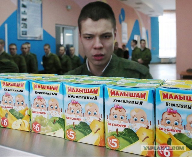 Фотожаба: удивленный рядовой