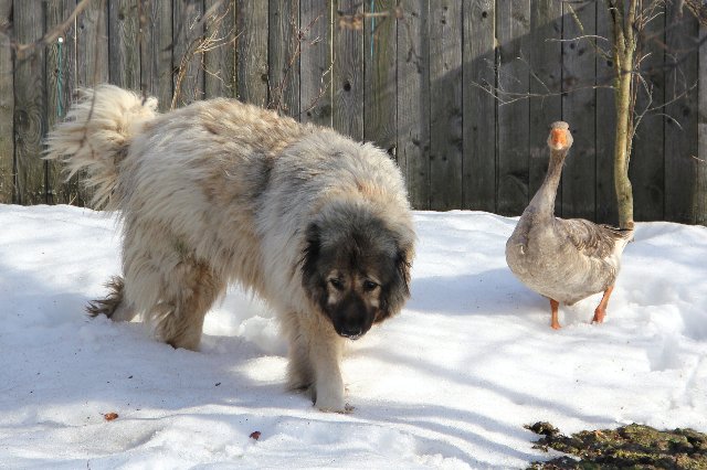 Такая вот дружба